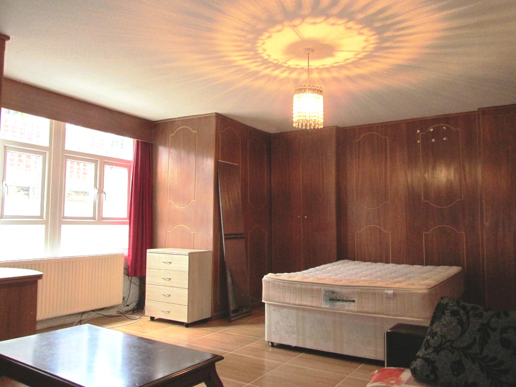 Spacious studio flat with separate kitchen and bathroom